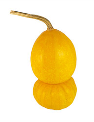 Similar image 1014638