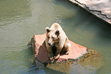 Similar image 1014664