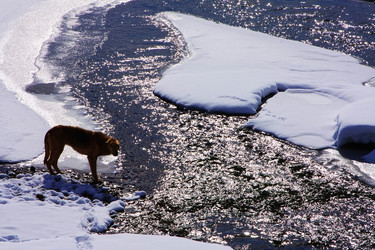 Similar image 1014669