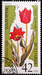 Similar image 1014674