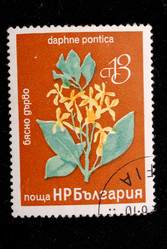 Similar image 1014680