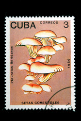 Similar image 1014686