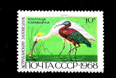 Similar image 1014700