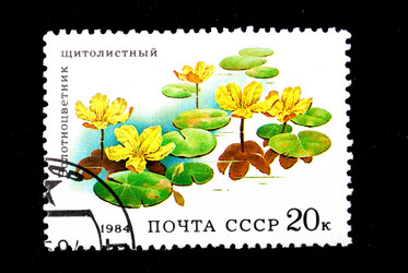 Similar image 1014705