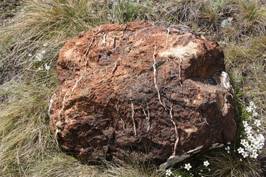 Similar image 1014803