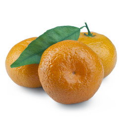 Similar image 1014831