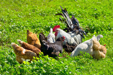 Similar image 1015058