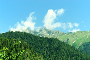 Similar image 1015131