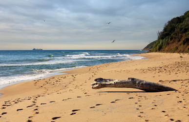 Similar image 1015175