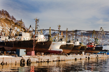 Similar image 1015196