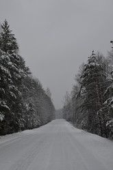 Similar image 1015210