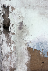 Similar image 1015245