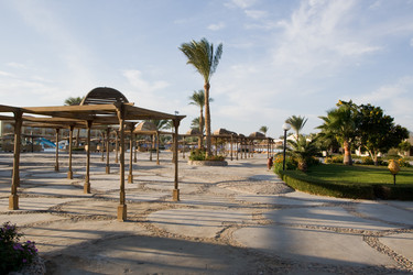 Similar image 1015256