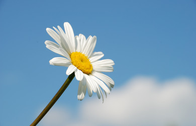 Similar image 1015304