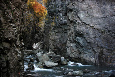 Similar image 1015438