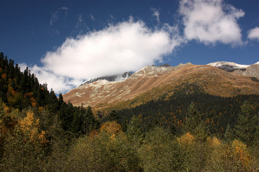 Similar image 1015439