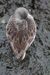 Similar image 1015537