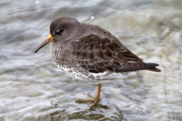 Similar image 1015541