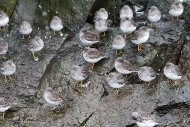 Similar image 1015548