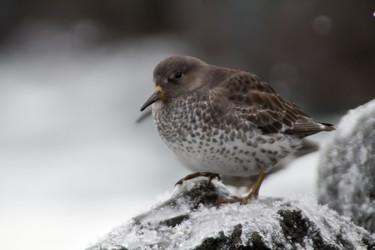 Similar image 1015559