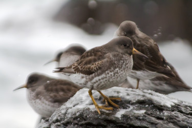 Similar image 1015560