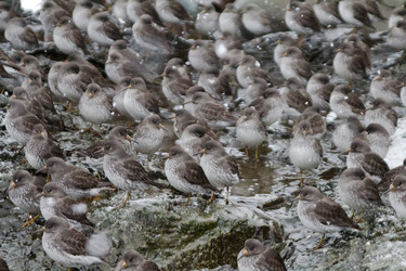 Similar image 1015566