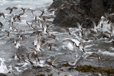 Similar image 1015572