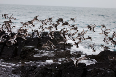 Similar image 1015575