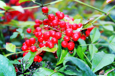 Similar image 1015653