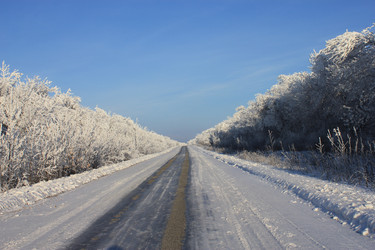 Similar image 1015766