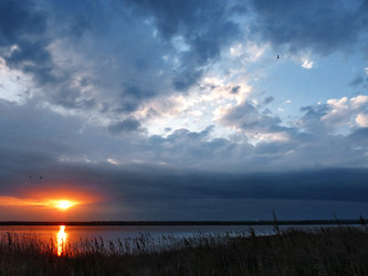 Similar image 1015809