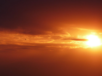 Similar image 1015810