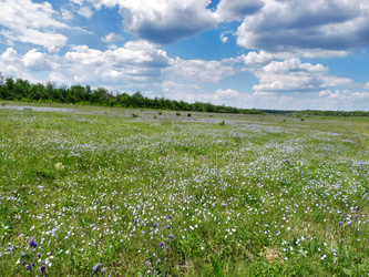 Similar image 1015813