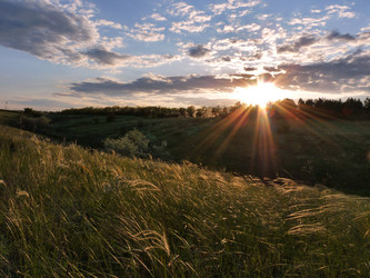 Similar image 1015816