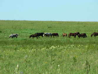 Similar image 1015817