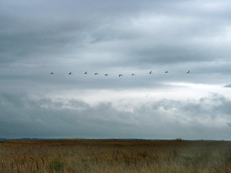 Similar image 1015818