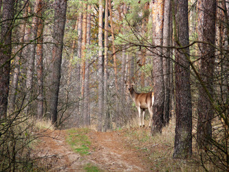 Similar image 1015826