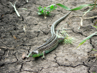 Similar image 1015827