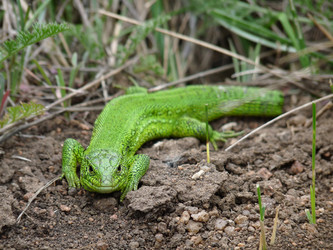 Similar image 1015828