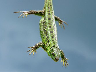 Similar image 1015829