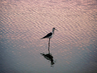 Similar image 1015831