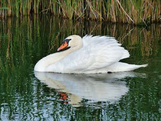 Similar image 1015832