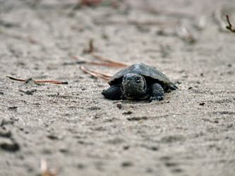 Similar image 1015833