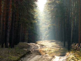 Similar image 1015836