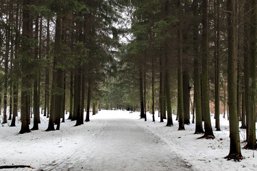 Similar image 1015849