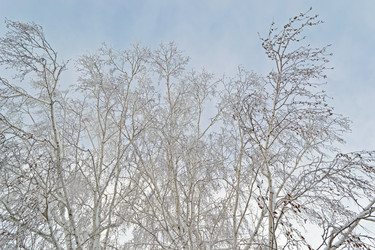 Similar image 1015850