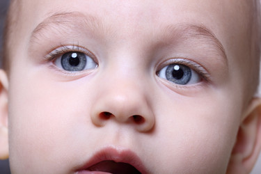 Similar image 1015919