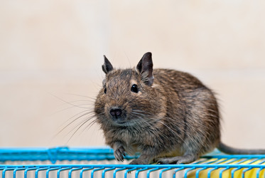 Similar image 1016021