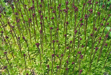 Similar image 1016029