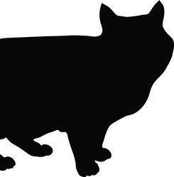 Similar image 1016041